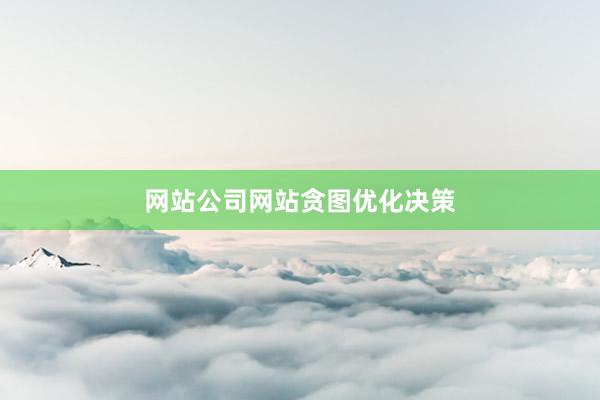 网站公司网站贪图优化决策