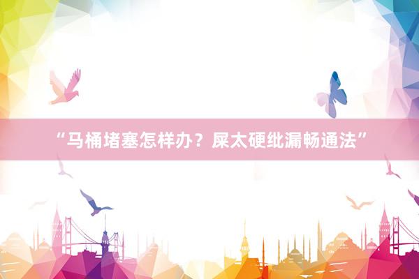 “马桶堵塞怎样办？屎太硬纰漏畅通法”