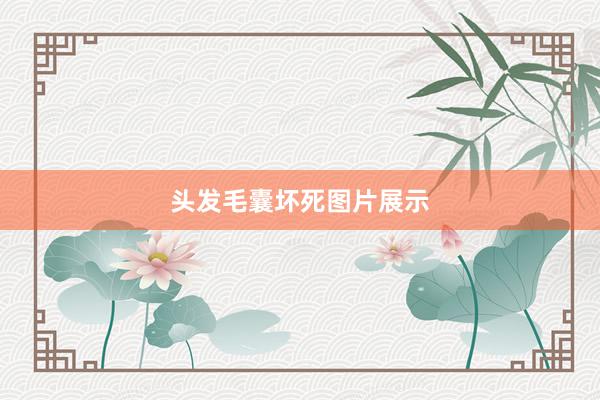 头发毛囊坏死图片展示
